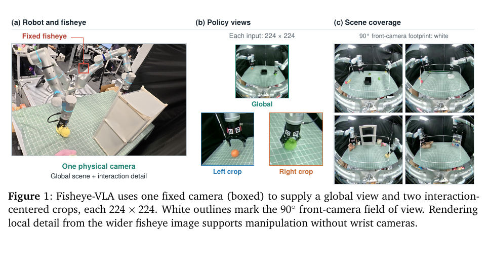 A fixed fisheye camera provides a global view and two interaction-centered policy views over a wide workspace.